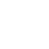 Econics Institute e.V. Logo weiss
