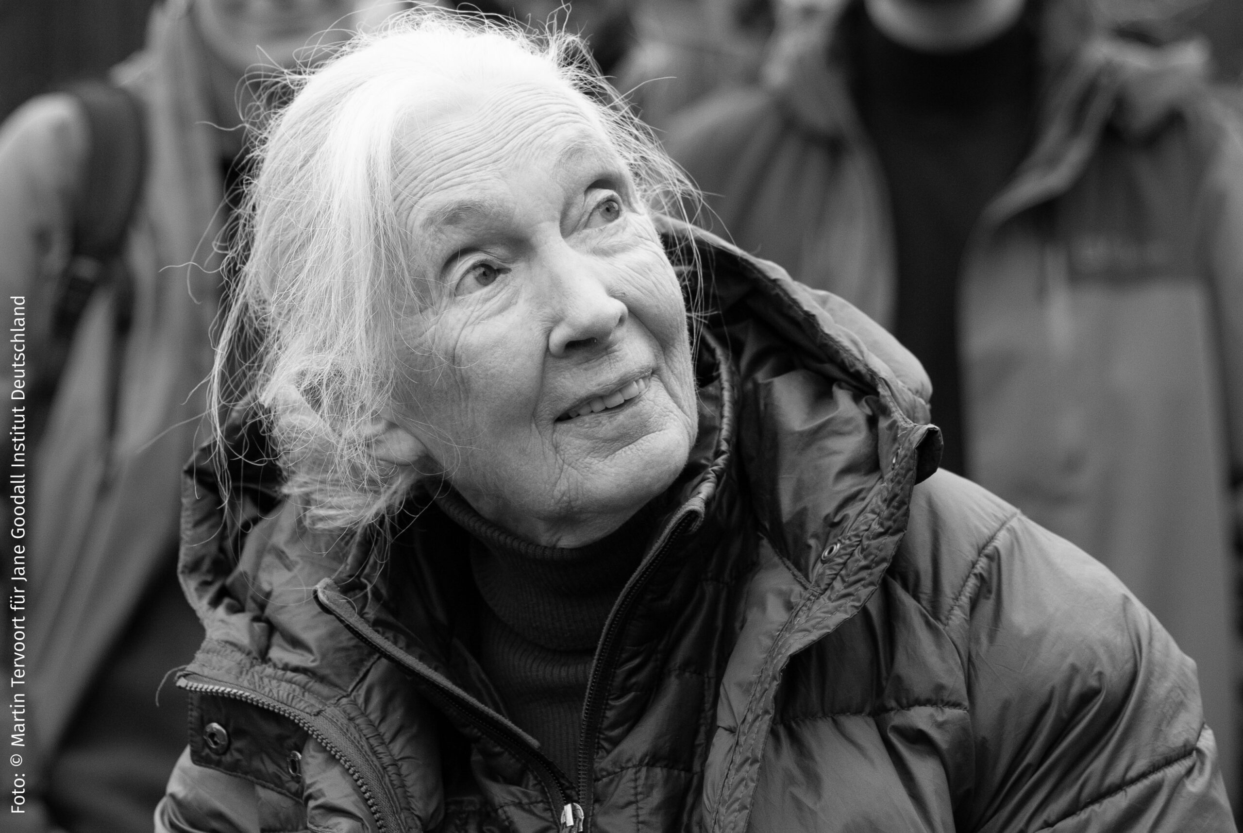 Jane Goodall in Eberswalde, 30.09.2024, Foto: Martin Tervoort, Jane Goodall Institute Deutschland