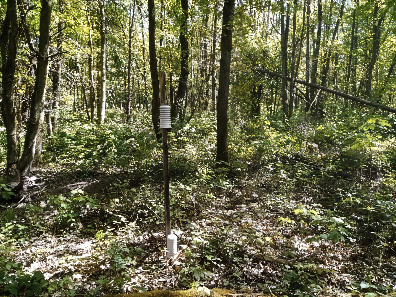 Econics Institute, Mikroklimastation im Wald