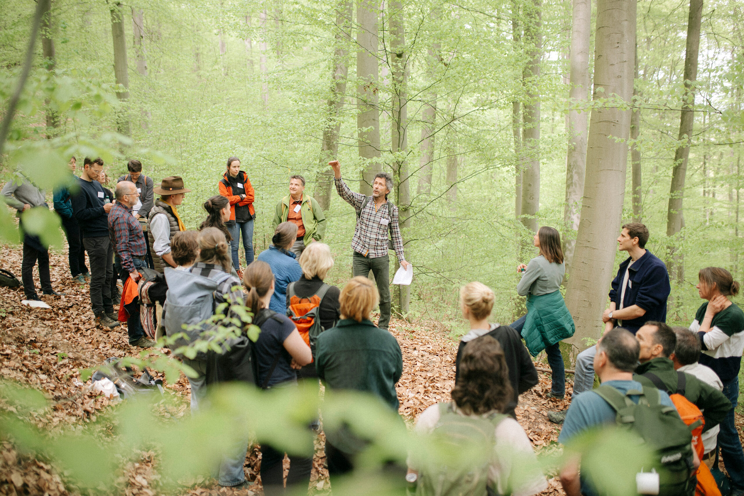 Excursion to the beech forest of Untermaßfeld with forester Frank Henkel, 27 April 2026 ©Wald-Allianz