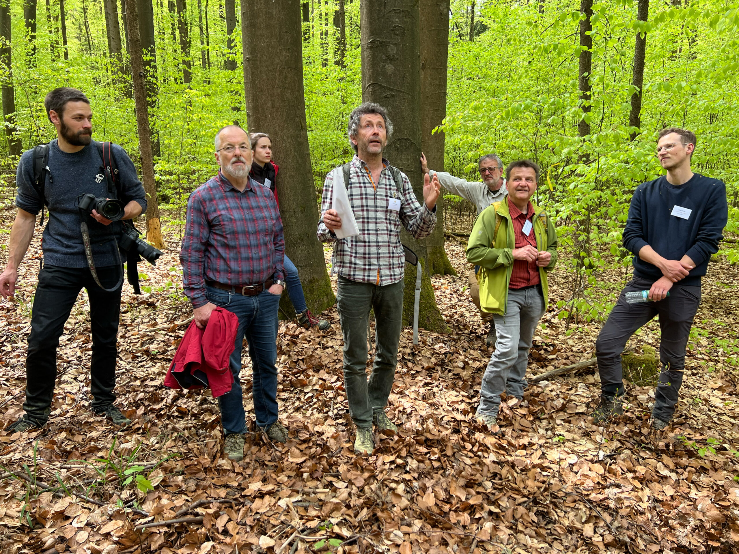 Exkursion in Untermaßfeld mit Förster Frank Henkel zur naturnahen Behandlung von Buchenwäldern, 27.04.2026, Foto: Anna Warnow
