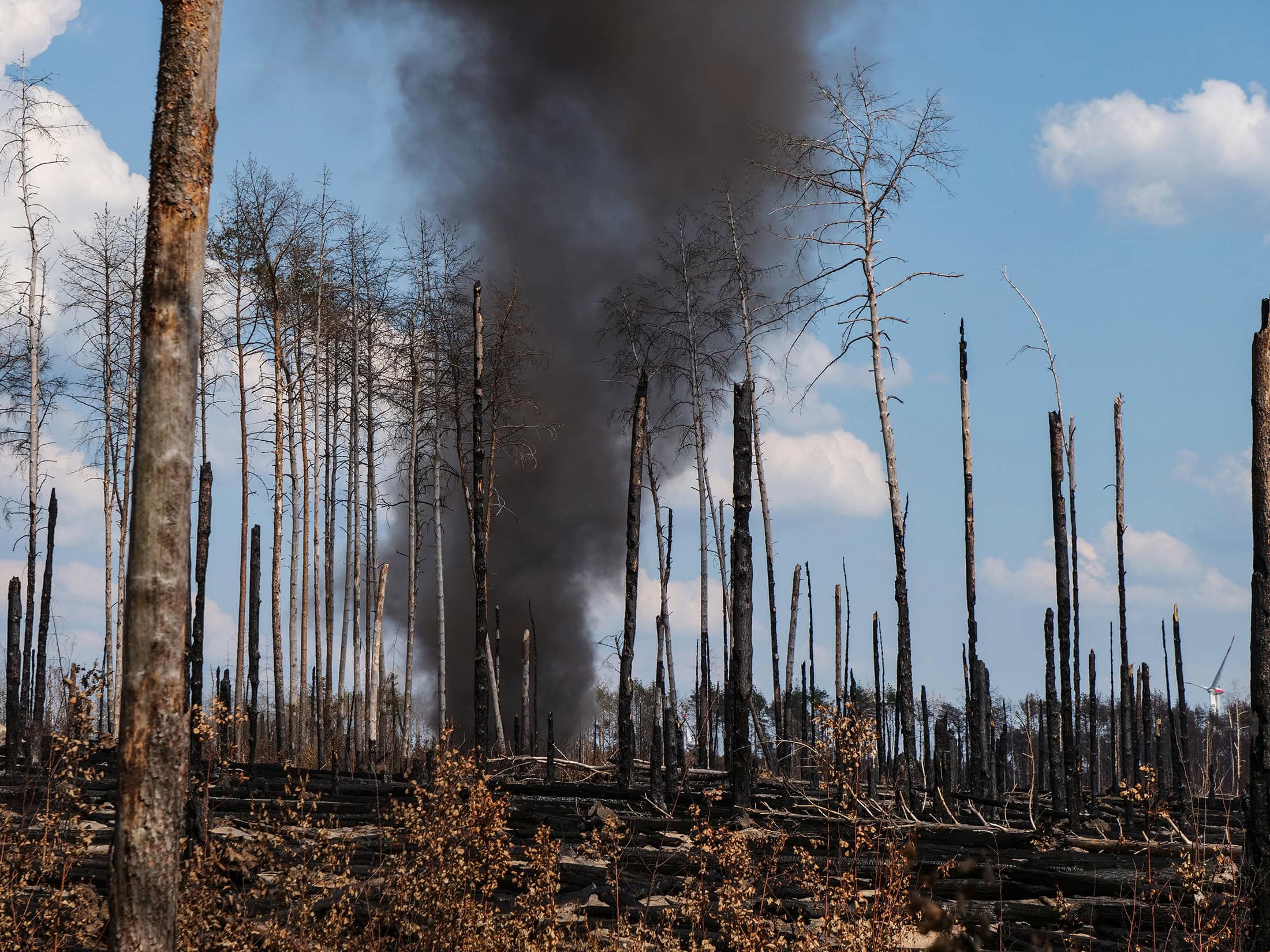 Erneuter Waldbrand in Treuenbrietzen im Süden Brandenburgs. Nach dem ersten Brand 2019 brannte es hier 2022 erneut, 27.06.2022, Foto: Pierre Ibisch